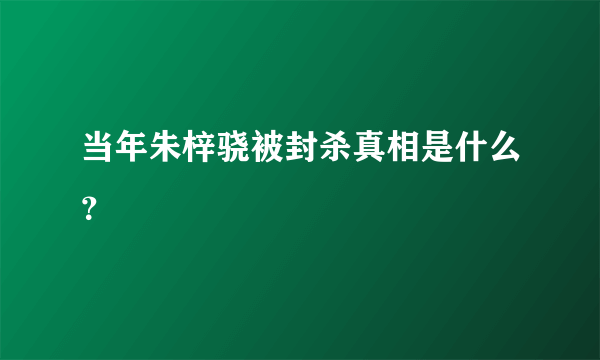 当年朱梓骁被封杀真相是什么？