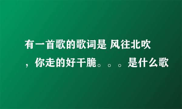 有一首歌的歌词是 风往北吹 ，你走的好干脆。。。是什么歌