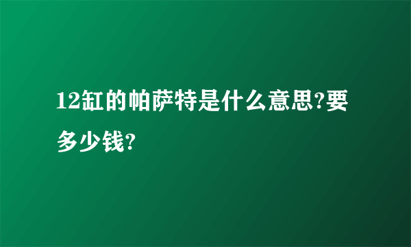 12缸的帕萨特是什么意思?要多少钱?