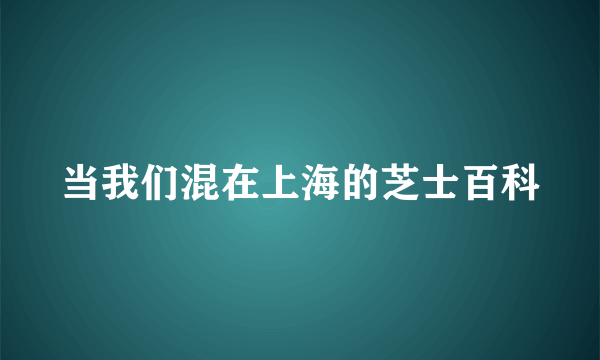 当我们混在上海的芝士百科