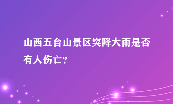 山西五台山景区突降大雨是否有人伤亡？