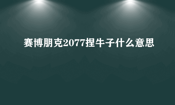 赛博朋克2077捏牛子什么意思