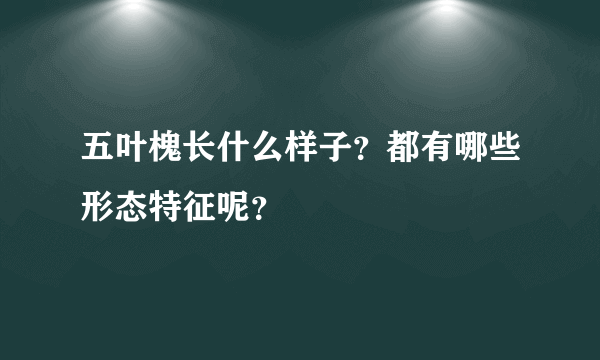 五叶槐长什么样子？都有哪些形态特征呢？