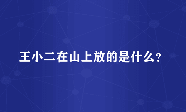 王小二在山上放的是什么？