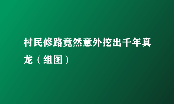 村民修路竟然意外挖出千年真龙（组图）