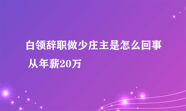 白领辞职做少庄主是怎么回事 从年薪20万