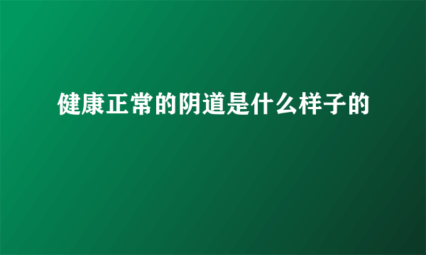 健康正常的阴道是什么样子的