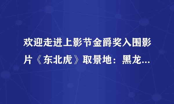 欢迎走进上影节金爵奖入围影片《东北虎》取景地：黑龙江鹤岗！