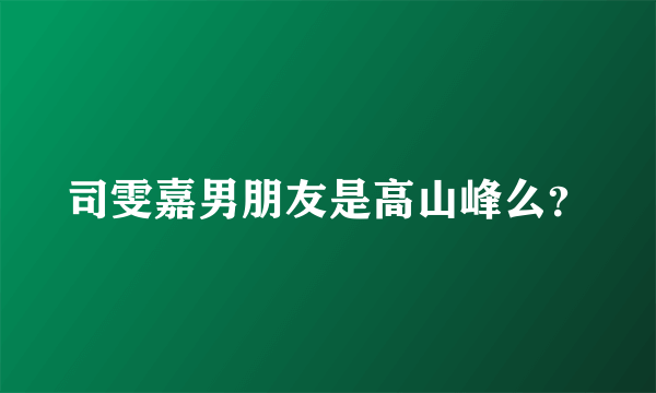 司雯嘉男朋友是高山峰么？