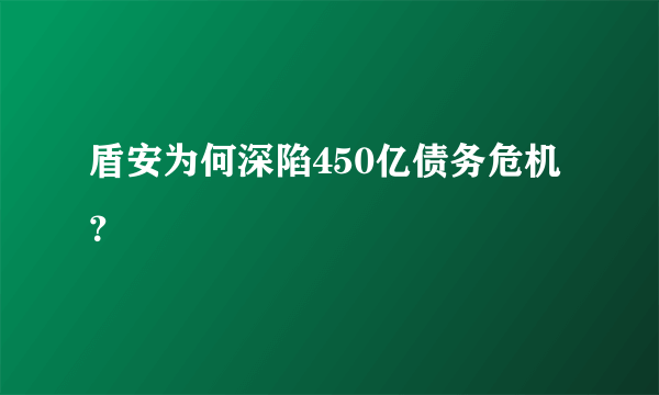 盾安为何深陷450亿债务危机？