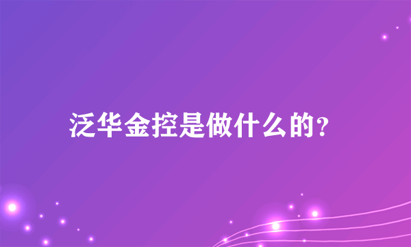 泛华金控是做什么的？