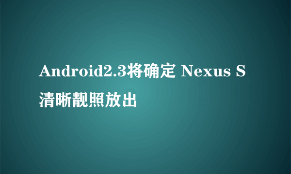 Android2.3将确定 Nexus S清晰靓照放出