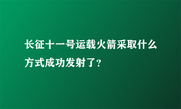 长征十一号运载火箭采取什么方式成功发射了？