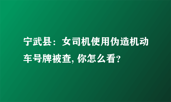 宁武县：女司机使用伪造机动车号牌被查, 你怎么看？