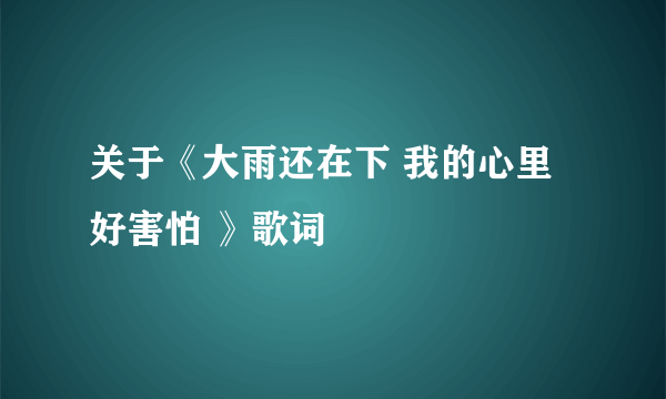 关于《大雨还在下 我的心里好害怕 》歌词