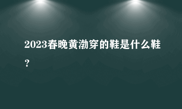 2023春晚黄渤穿的鞋是什么鞋？