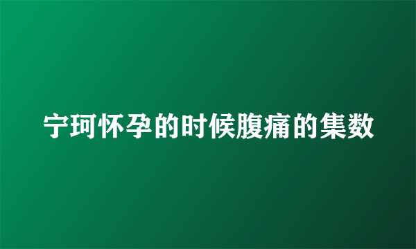 宁珂怀孕的时候腹痛的集数