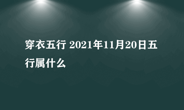 穿衣五行 2021年11月20日五行属什么