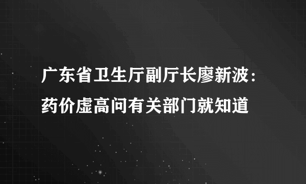 广东省卫生厅副厅长廖新波：药价虚高问有关部门就知道