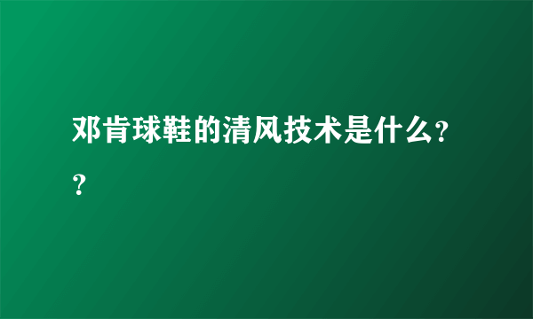 邓肯球鞋的清风技术是什么？？