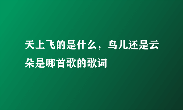 天上飞的是什么，鸟儿还是云朵是哪首歌的歌词