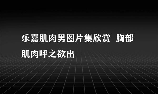 乐嘉肌肉男图片集欣赏  胸部肌肉呼之欲出