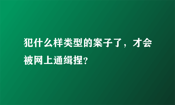 犯什么样类型的案子了，才会被网上通缉捏？