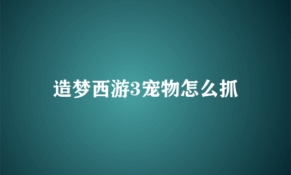 造梦西游3宠物怎么抓