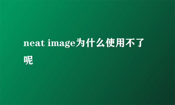 neat image为什么使用不了呢