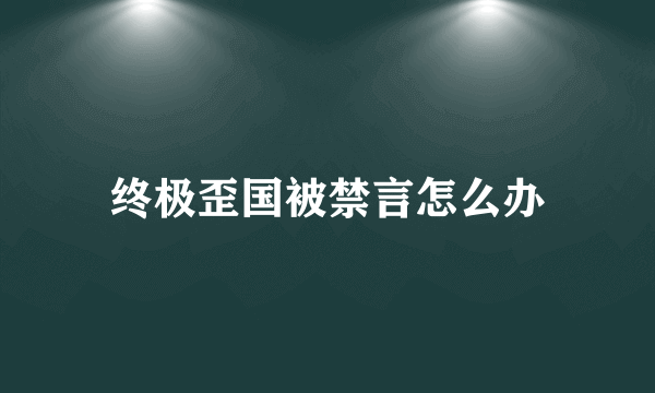 终极歪国被禁言怎么办