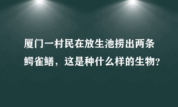 厦门一村民在放生池捞出两条鳄雀鳝，这是种什么样的生物？