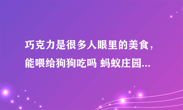 巧克力是很多人眼里的美食，能喂给狗狗吃吗 蚂蚁庄园6月13日答案最新