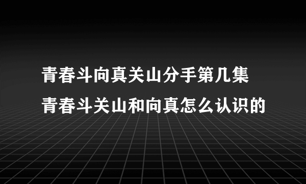 青春斗向真关山分手第几集 青春斗关山和向真怎么认识的