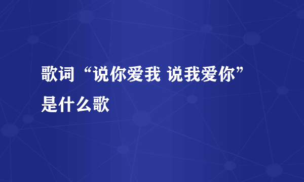 歌词“说你爱我 说我爱你”是什么歌